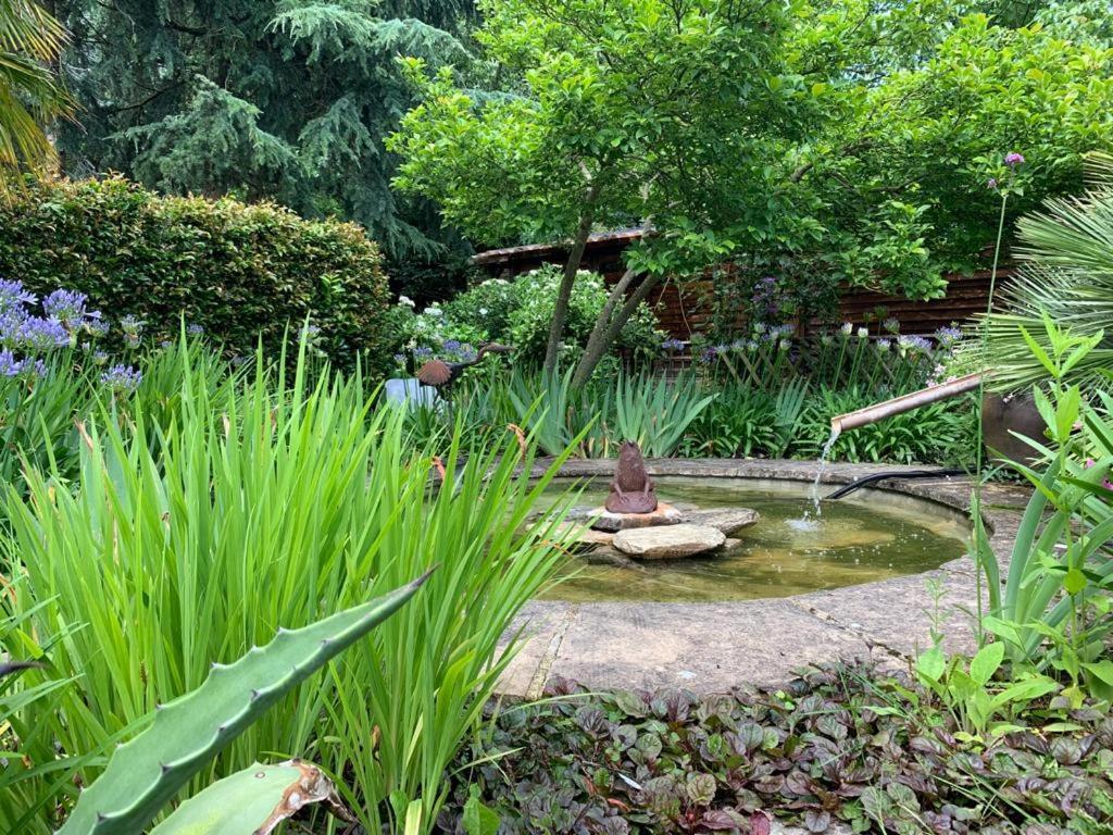 Maison En Pierre Dans Son Nid De Verdure Roz-Landrieux 外观 照片