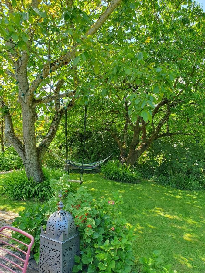 Maison En Pierre Dans Son Nid De Verdure Roz-Landrieux 外观 照片