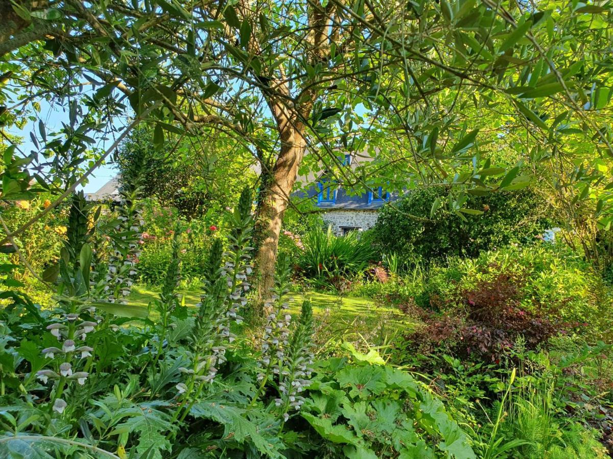 Maison En Pierre Dans Son Nid De Verdure Roz-Landrieux 外观 照片