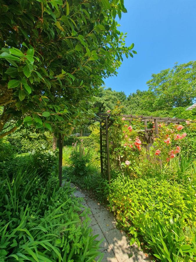 Maison En Pierre Dans Son Nid De Verdure Roz-Landrieux 外观 照片