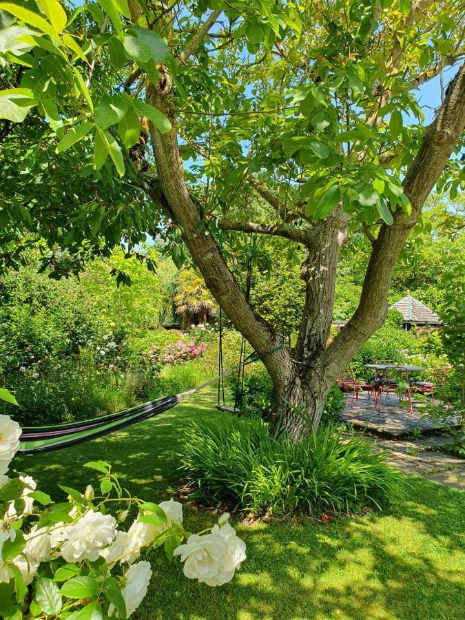 Maison En Pierre Dans Son Nid De Verdure Roz-Landrieux 外观 照片